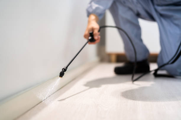 Licensed Cockroach Control service in Darien, GA - Nex Pest Control