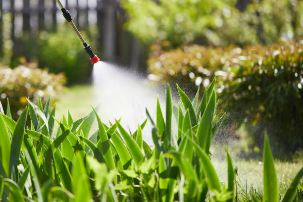 24/7 Emergency Cockroach Control experts in Darien, GA
