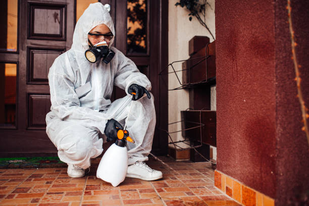 Reliable Cockroach Control contractor in Darien, GA by Nex Pest Control