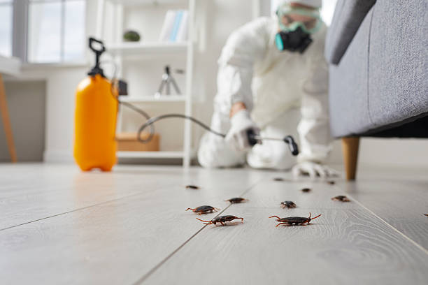 Affordable Cockroach Control solutions in Darien, GA